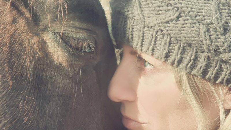 Persönliche Beratung mit Pferd in der MyPetsdoc Tierheilpraxis